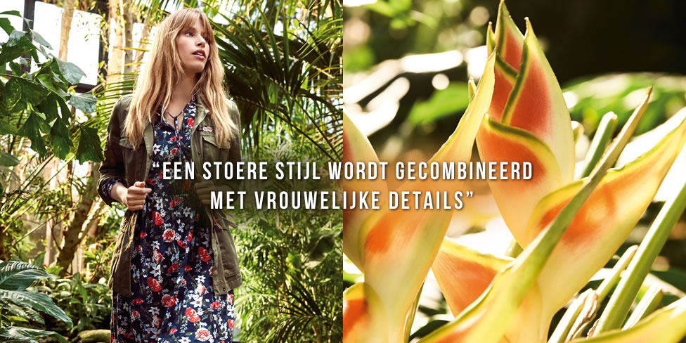 tropical-vibes_interview_opener_nl